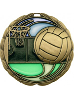 Netball Trophy image